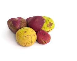 Noix de Kola du Cameroun 100g